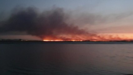 화성 갈대숲 화재...갈대밭 15ha 소실 / YTN