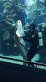 Un requin un peu collant demande des calins au plongeur qui nettoie l'aquarium