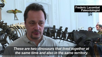 Up for auction: Two dinosaur skeletons