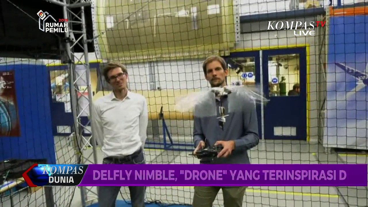 "Delfly Nimble' Drone Ciptaan Peneliti Belanda yang Terinspirasi dari Serangga