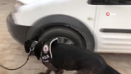 Van'da Uyuşturucu Operasyonları