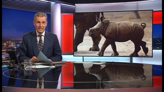 A young boy in South Africa wants to rescue endangered rhinos