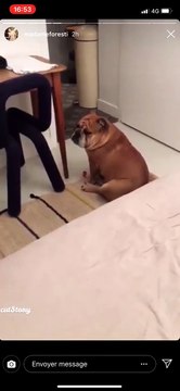 Florence Foresti aime se moquer de son chien Albert