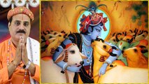 Gopashtami Puja Vidhi: गो पूजन का पवित्र दिन है गोपाष्टमी, जानें महत्व और पूजा विधि | Boldsky