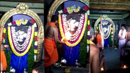 ಮಹಾಪೂಜೆ ಮುಗಿಯುತ್ತಿದ್ದಂತೆಯೇ ಭಕ್ತರಿಗೆ ನಿಜರೂಪ ದರ್ಶನ ನೀಡಿದ ಹೊಳೆ ಆಂಜನೇಯ