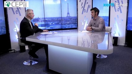 L'évolution du partage de la valeur ajoutée en occident [Antoine Vatan]