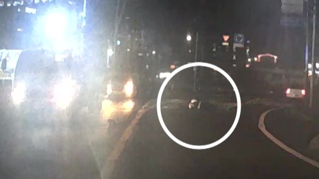 음주 단속 경찰관 매달고 달아난 30대 영장 / YTN