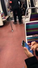 Il vole une chèvre au Jardin des Tuileries et la ramène en métro