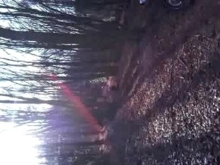 crossman et crossman junior en balade trop mimi