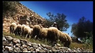 LIFE OF THE SHEPHERD - Yeshua is the Good Shepherd