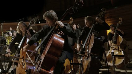 [SON BINAURAL] Uaxuctum, la légende de la Cité Maya détruite par eux-mêmes pour des raisons religieuses