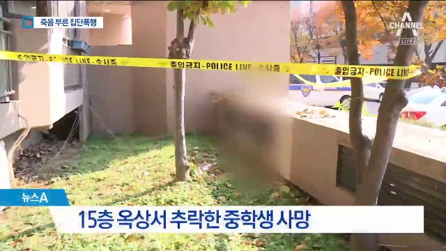 폭행당한 중학생, 15층서 추락사…동급생 4명 체포