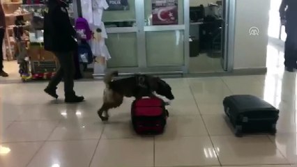 Uyuşturucuyu hurmaların arasına gizlemiş - VAN