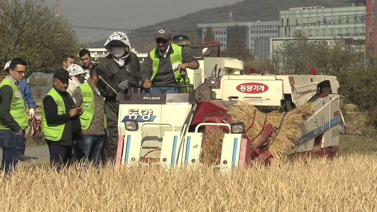 [경북] 경북, 아프리카 최대 기업과 새마을 협력 / YTN