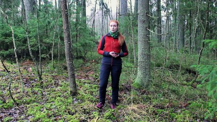 Smartphones são indispensáveis 10 anos após lançamento