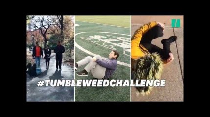 Faire la roulade n'importe où, le nouveau jeu sur les réseaux sociaux