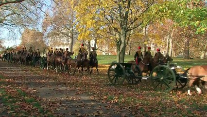 Prince Charles' 70th birthday marked with royal gun salute