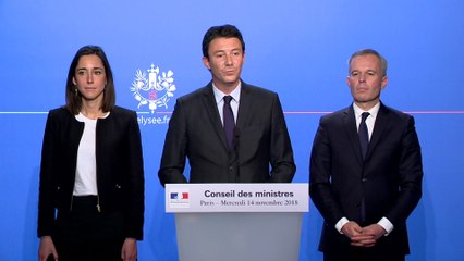 Benjamin Griveaux affirme que "le président a appelé à respecter la colère" le 17 novembre