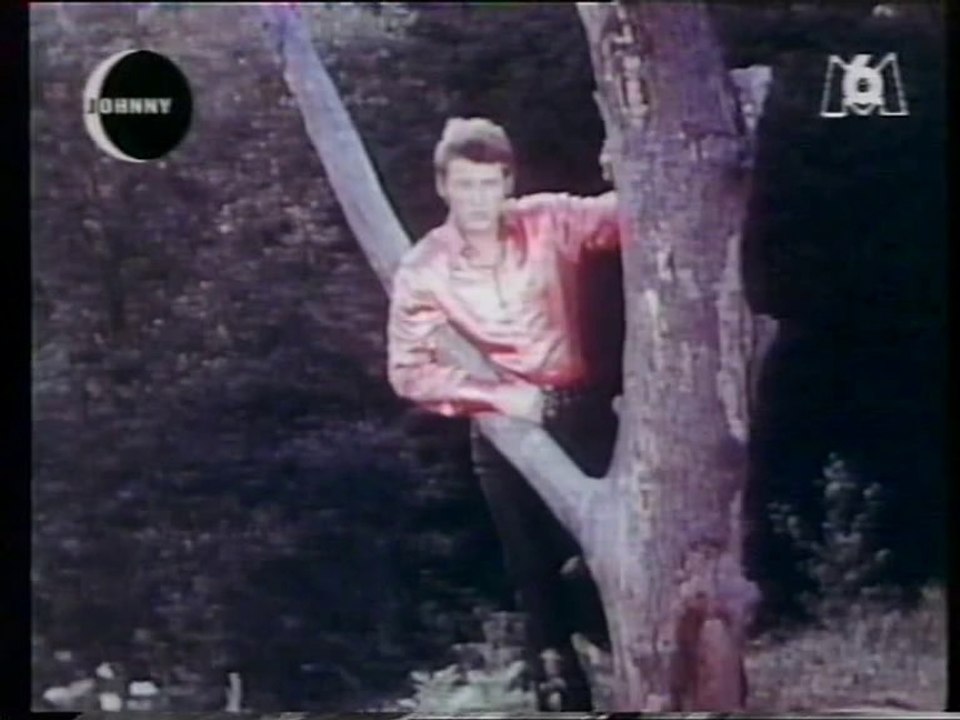 Johnny Hallyday "Je m'accroche à mon rêve" La nuit Johnny M6 - 25 décembre 1995