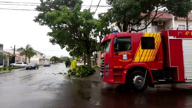 Queda de árvore mobiliza Corpo de Bombeiros