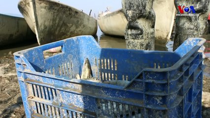 Marmara Gölü Yok Olma Tehdidi Altında