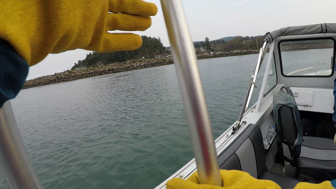 Fall Crabbing