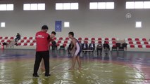 Hassa'da Güreş Turnuvası Düzenlendi