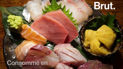 Le thon obèse ciblé par une pêche intensive