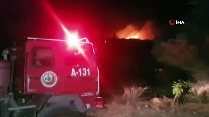 Manavgat'ta orman yangını