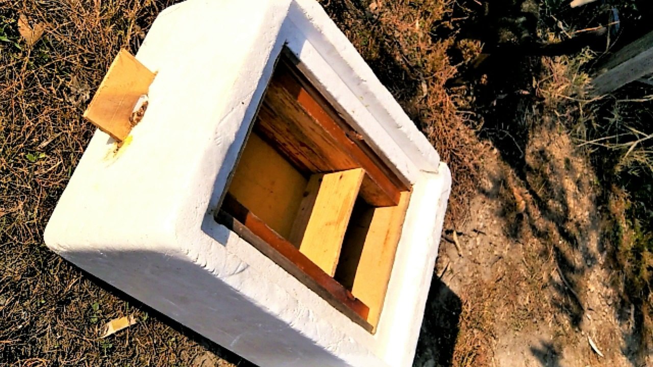 Ana Arı Üretimi ve Kovanı