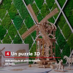 PASSEZ LE PLUS BEAU DES ÉCO-NOËLS!