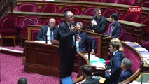 Didier Guillaume défend la politique du gouvernement sur les saisonniers agricoles