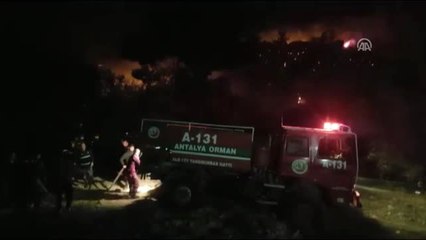 Manavgat'ta Orman Yangını