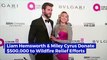Liam Hemsworth & Miley Cyrus Donate $500,000 to Wildfire Relief Efforts