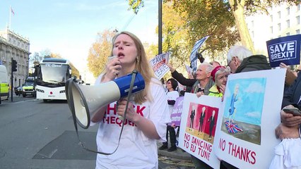 Briten machen ihrem Brexit-Frust Luft