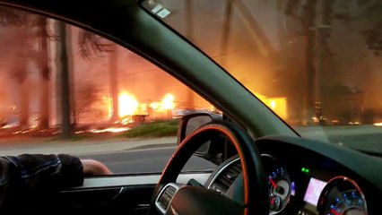 Devastation of Paradise Fire