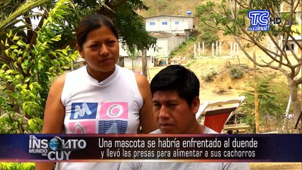 El presunto duende descuartizado de San Pedro en la provincia de Santa Elena