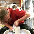 Ce chaton est fasciné par la poterie de son maître ! Tellement mignon