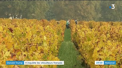 Donald Trump inquiète les viticulteurs français