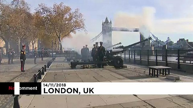 Prens Charles'ın 71'inci yaş günü Londra'da top atışlarıyla kutlandı