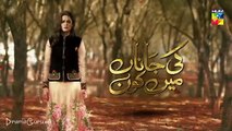 Ki Jaana Mein Kaun Episode 39 Promo HUM TV Drama 14 November 2018