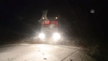 Tendürek Geçidi'nde Kar Yağışı ve Tipi Nedeniyle Araçlar Mahsur Kaldı