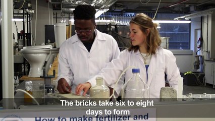 Waste not: South Africa makes world's first human urine brick