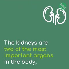 Top 10 Deadly Habits Seriously Damaging The Kidneys