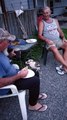 Kookaburra Tries to Steal Man's Meal