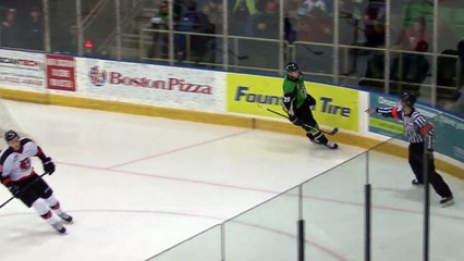 WHL Medicine Hat Tigers 0 at Prince Albert Raiders 2