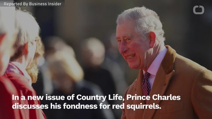 Prince Charles Is 'Infatuated' With Red Squirrels