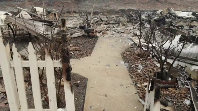 Je serais mort si on ne m'avait pas réveillé. En Californie, des rescapés racontent comment ils ont échappé de justesse aux flammes