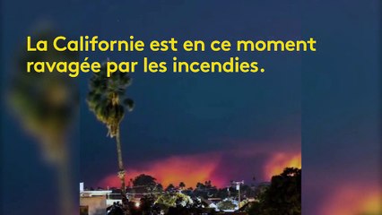 "Allons-nous-en d'ici !" : en Californie, les habitants filment leur fuite au cœur des incendies