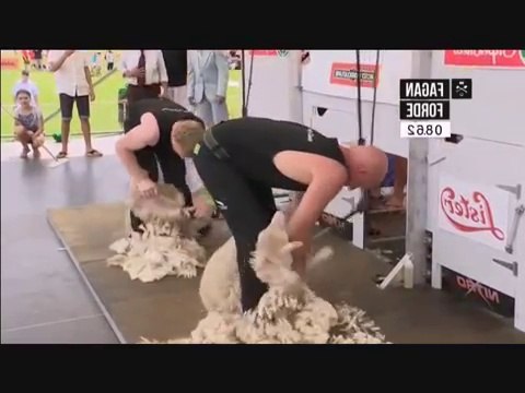 FASTEST WORKERS WITH AMAZING SKILLS COMPILATION 1